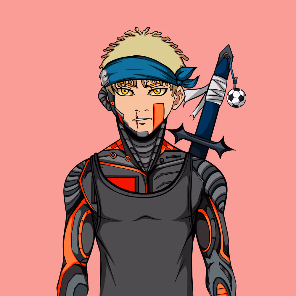 Ninja #8867