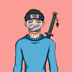 Ninja #2860