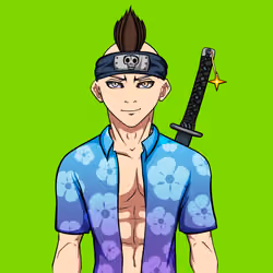 Ninja #4053