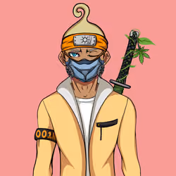 Ninja #3167