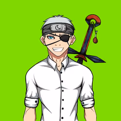 Ninja #4670