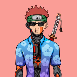 Ninja #3357