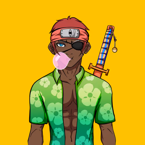 Ninja #4903