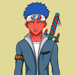 Ninja #1527