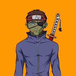 Ninja #5365