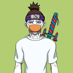 Ninja #6647