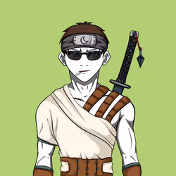 Ninja #1080