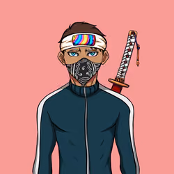 Ninja #1576