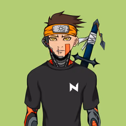 Ninja #2707