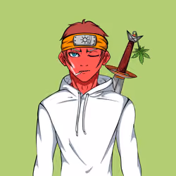 Ninja #5046