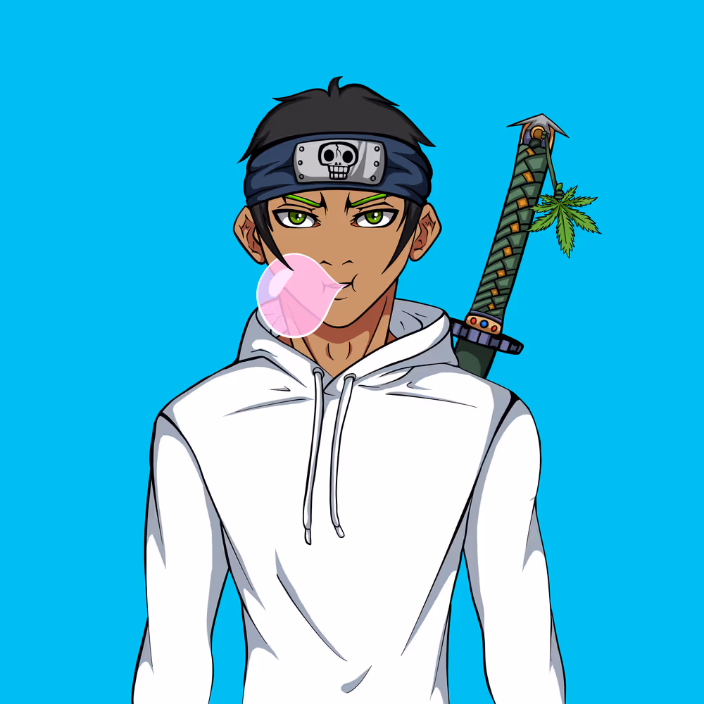 Ninja #8874