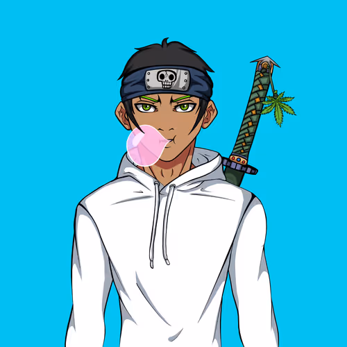 Ninja #8874