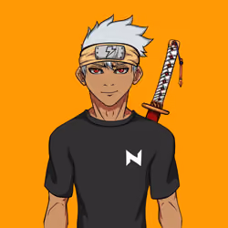 Ninja #1758