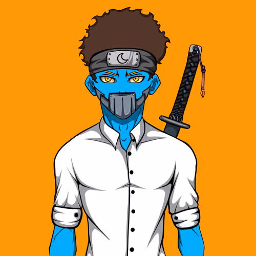 Ninja #6533