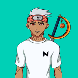 Ninja #6043