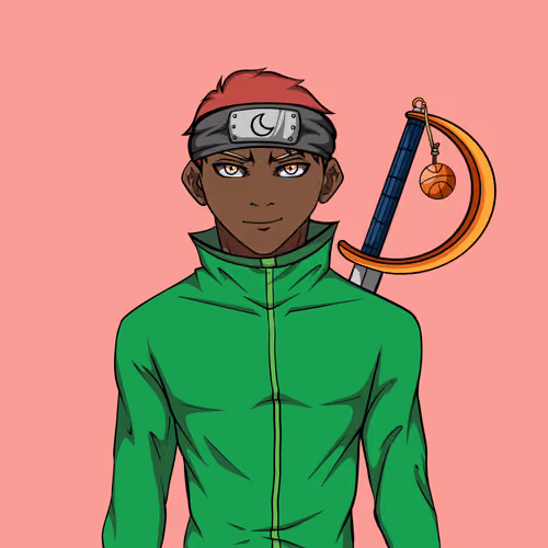 Ninja #2368