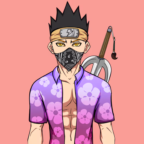 Ninja #8864