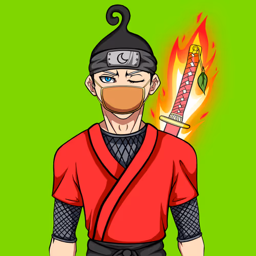 Ninja #3090