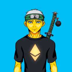 Ninja #7054