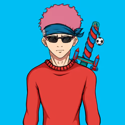 Ninja #2541