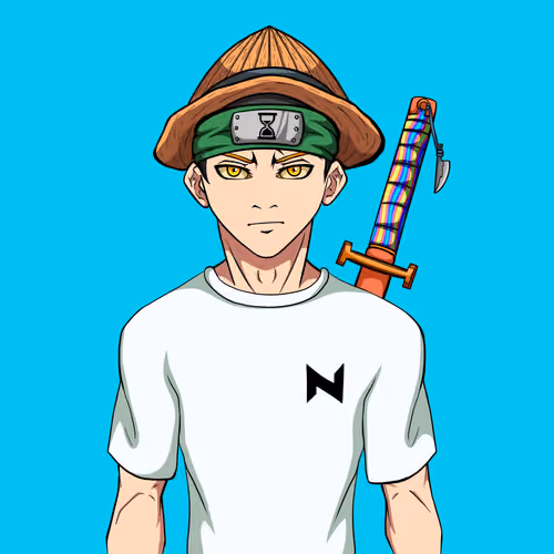 Ninja #8876