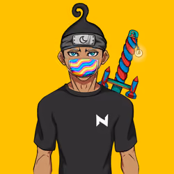 Ninja #4911