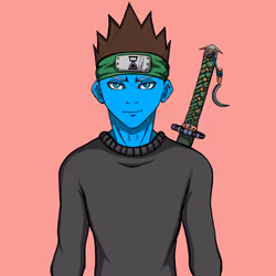 Ninja #2419