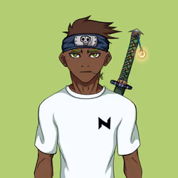 Ninja #1689