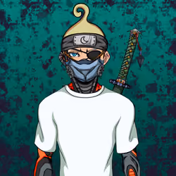 Ninja #8793