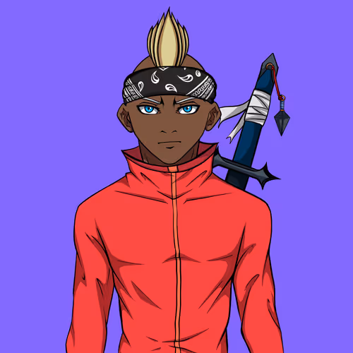 Ninja #8782