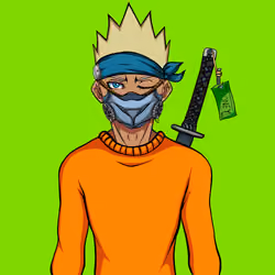 Ninja #8717
