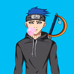 Ninja #1024