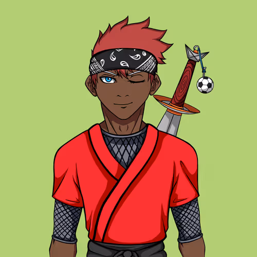 Ninja #4199