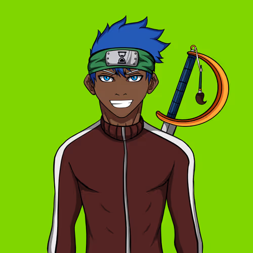Ninja #8843