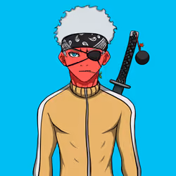 Ninja #7528