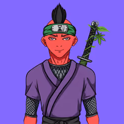 Ninja #4293