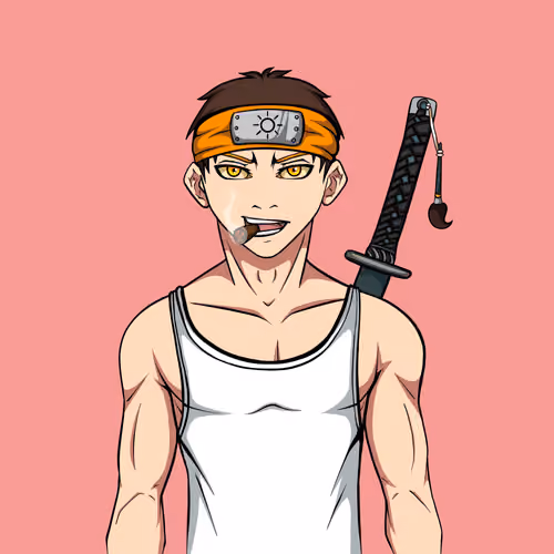 Ninja #6593