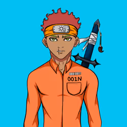 Ninja #4668