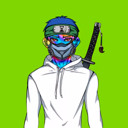 Ninja #234
