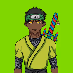 Ninja #3722