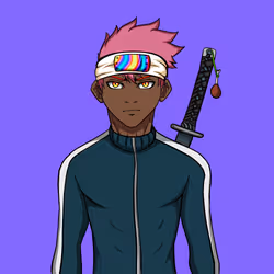 Ninja #6560