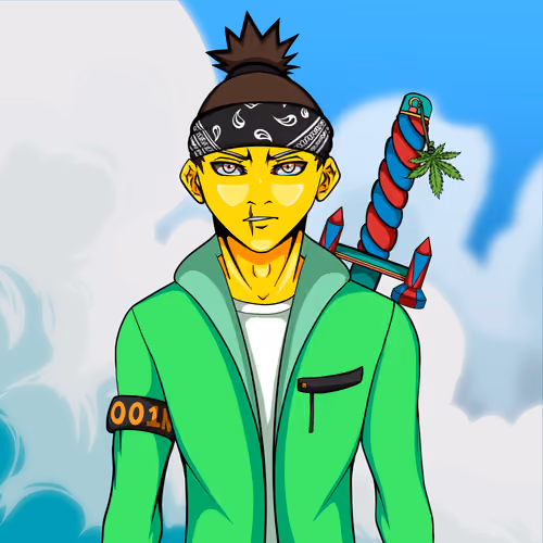Ninja #3582