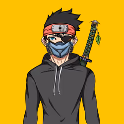 Ninja #431