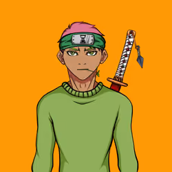 Ninja #6565