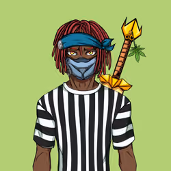 Ninja #2807