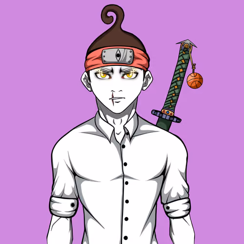 Ninja #2208