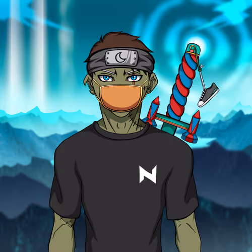 Ninja #8860