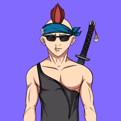 Ninja #5685