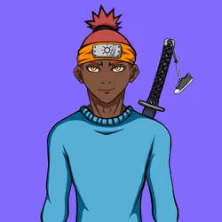 Ninja #792