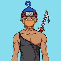 Ninja #8160